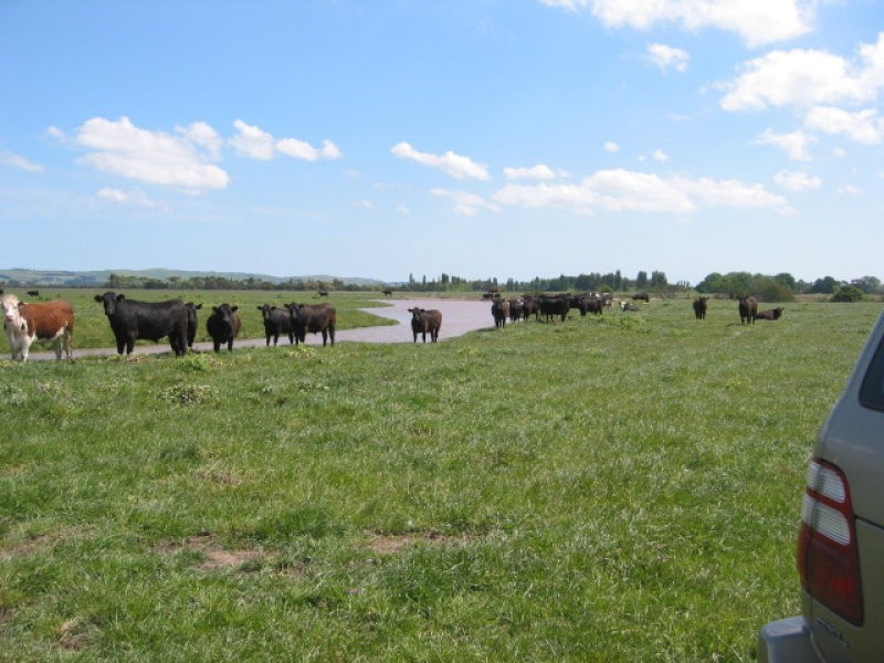 Glen Forbes VIC 3990