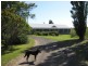 130 Koetsveldt Road, Archies Creek VIC 3995