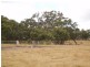 Leongatha VIC 3953
