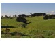 1005 LOCH – WONTHAGGI RD, Krowera VIC 3945