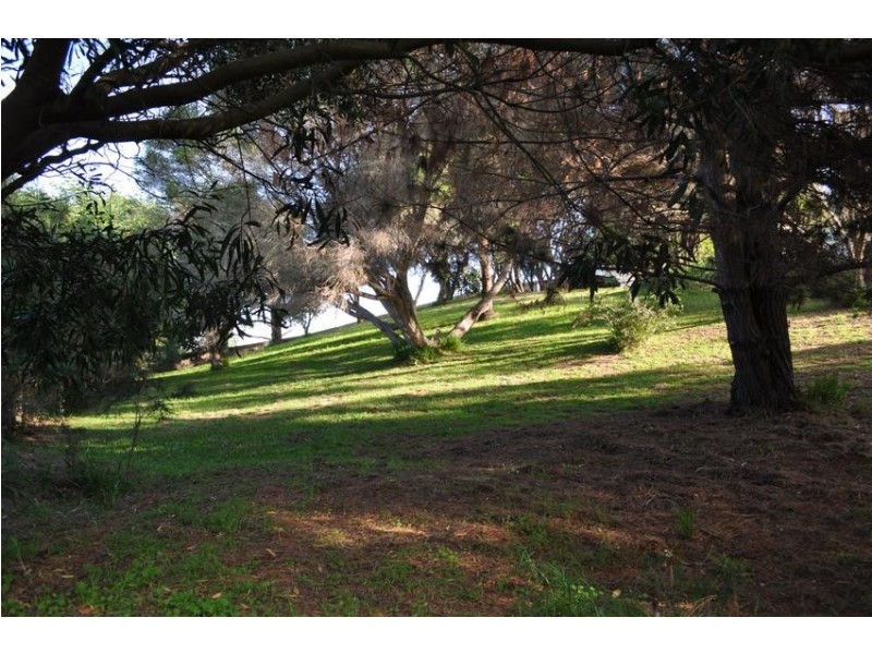 Wonthaggi VIC 3995