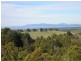 3486 STH GIPPSLAND HWY, Foster VIC 3960