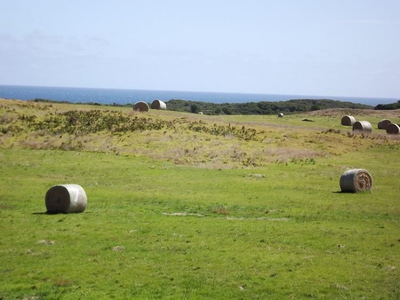 Cape Paterson VIC 3995