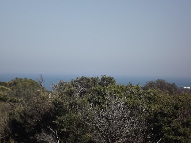 Harmers Haven VIC 3995