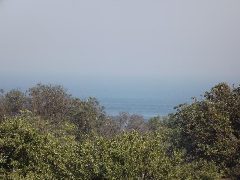 Harmers Haven VIC 3995