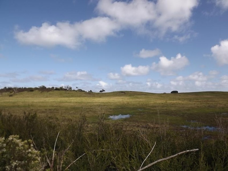 Cape Paterson VIC 3995