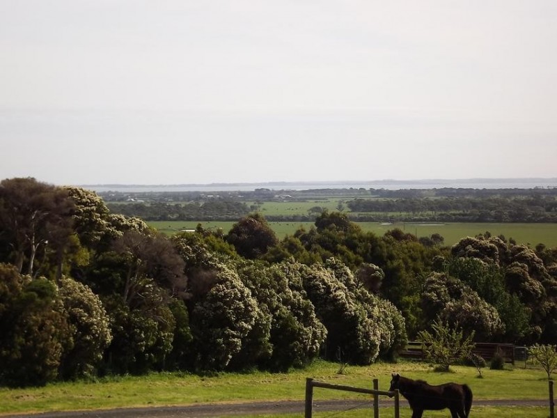 41 Clementis rd, Glen Forbes VIC 3990