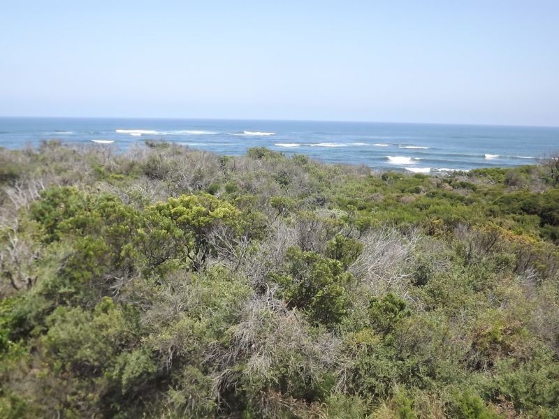 Harmers Haven VIC 3995