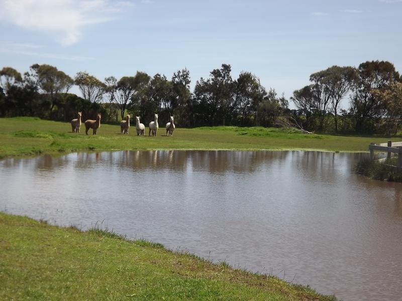 Cape Paterson VIC 3995