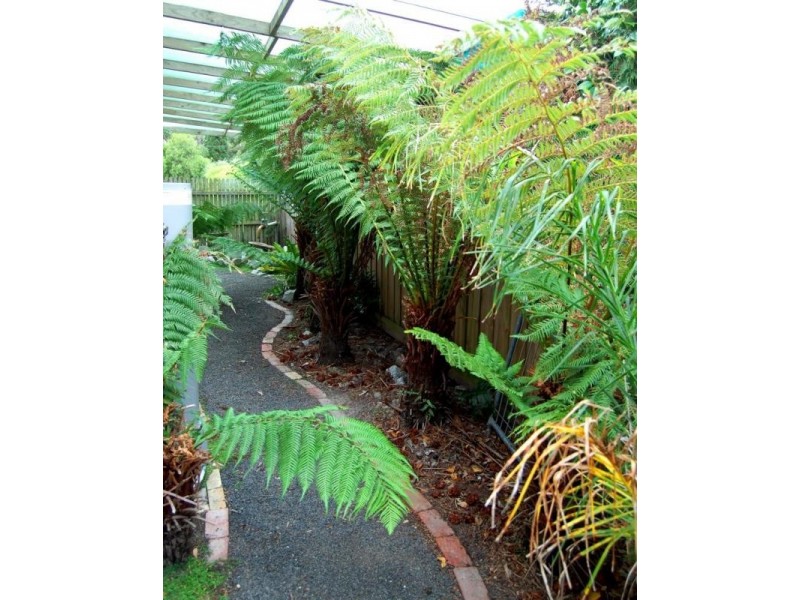 41 Parks Street, Wonthaggi VIC 3995