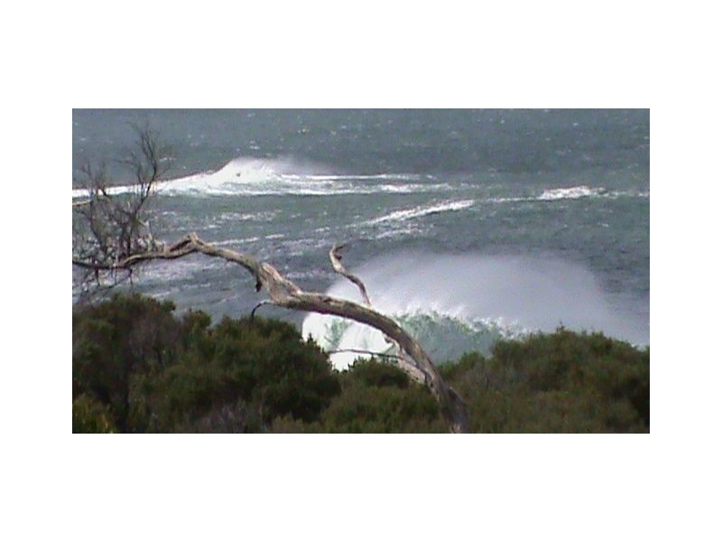 Cape Paterson VIC 3995