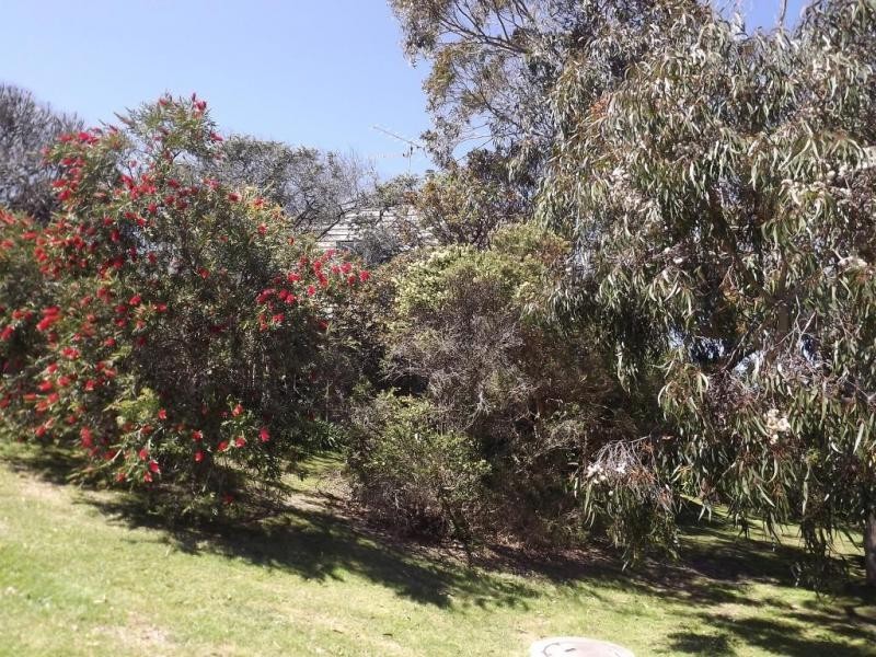 16 ZEPHYR COURT, Cape Paterson VIC 3995