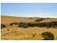 Kilcunda VIC 3995