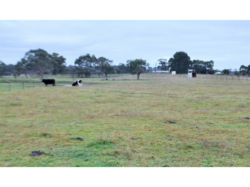 16 Forster Court, Wattle Bank VIC 3995