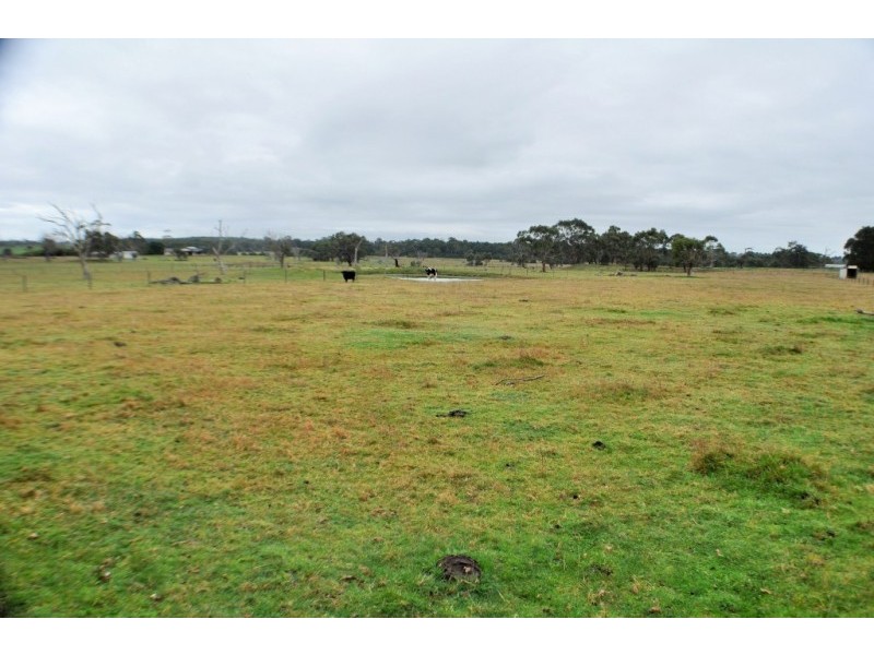 16 Forster Court, Wattle Bank VIC 3995