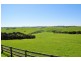 Archies Creek VIC 3995