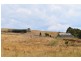 Ryanston VIC 3992