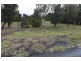 Dalyston VIC 3992