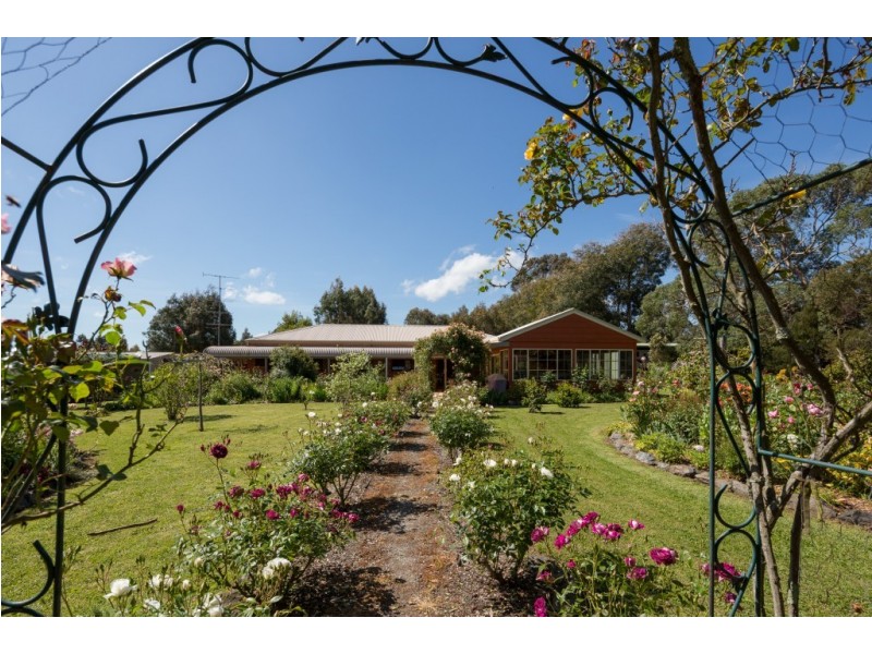 Wattle Bank VIC 3995