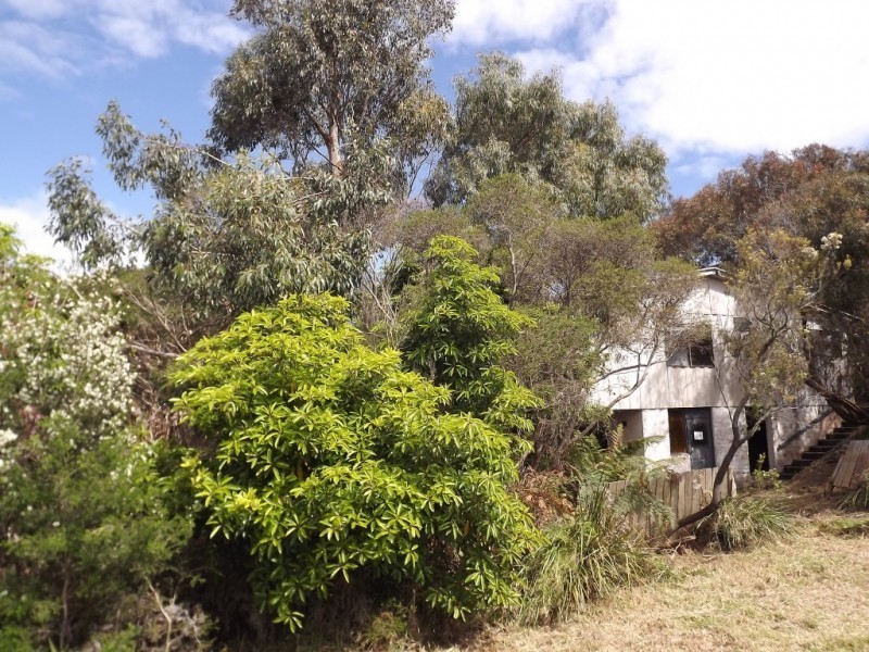 Cape Paterson VIC 3995