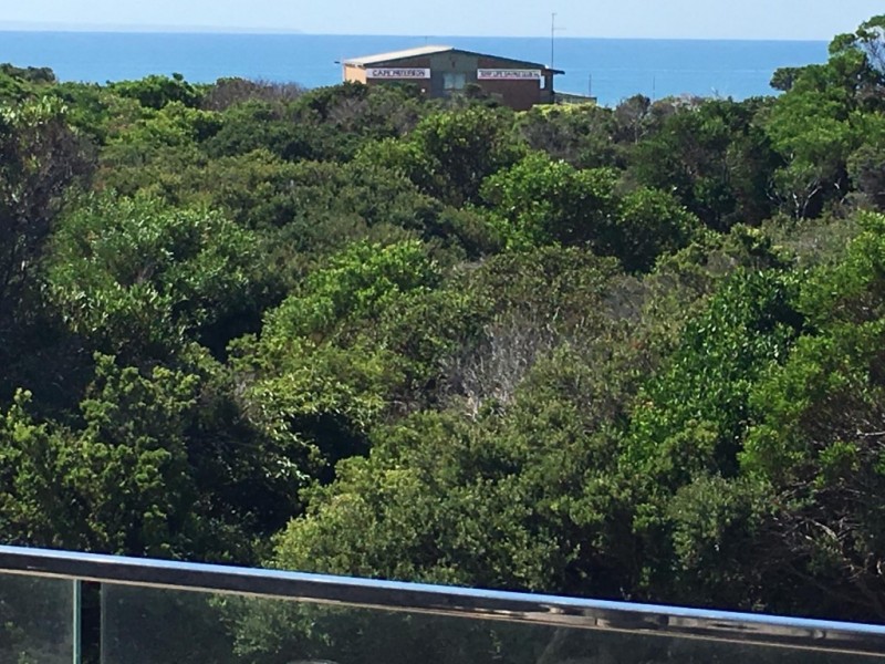 114 SURF BEACH ROAD, Cape Paterson VIC 3995