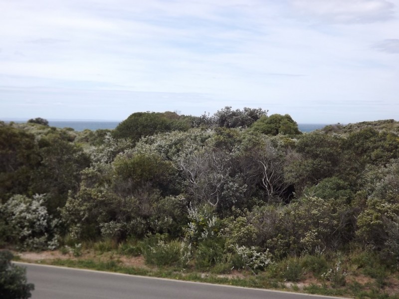 114 SURF BEACH ROAD, Cape Paterson VIC 3995