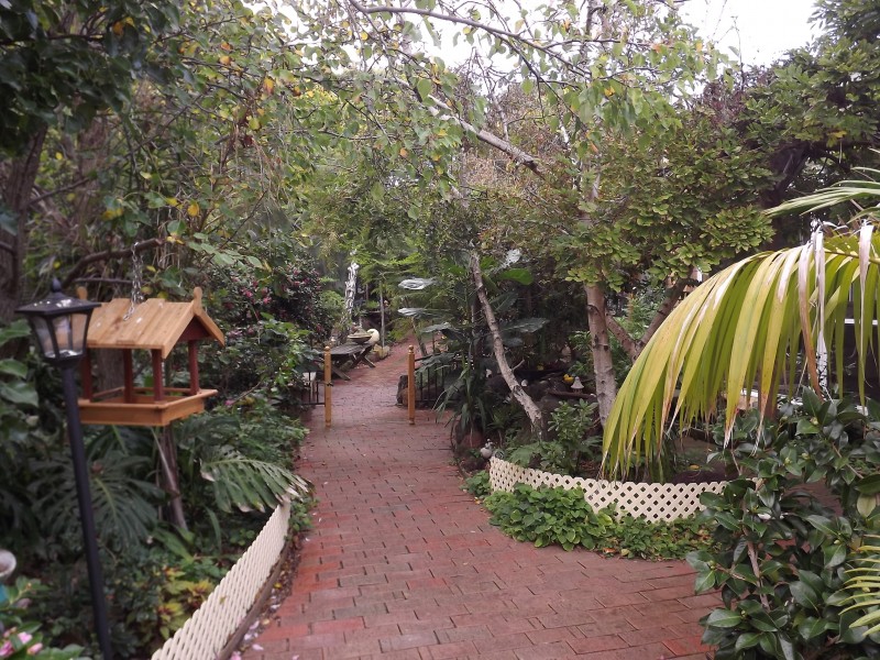 Cape Paterson VIC 3995