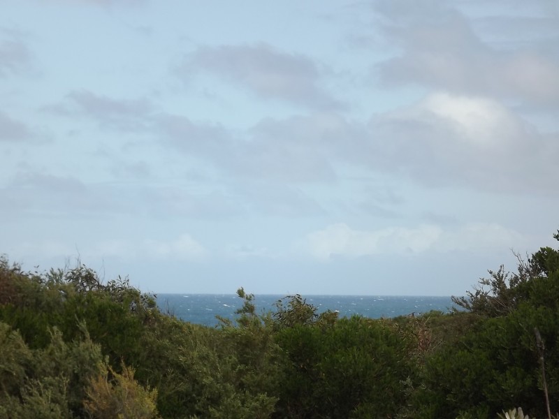 Cape Paterson VIC 3995