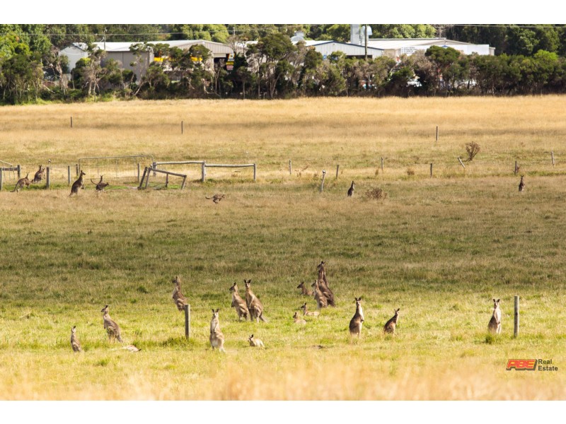 Lot 225 Powlett Ridge Estate, Wonthaggi VIC 3995