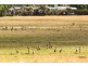 Lot 185 Powlett Ridge Estate, Wonthaggi VIC 3995