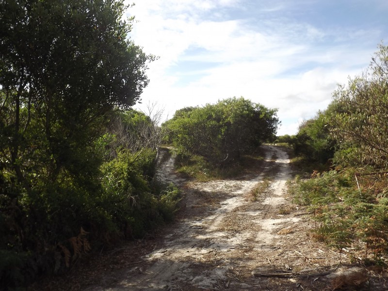 Cape Paterson VIC 3995