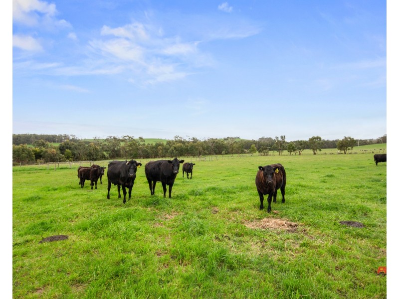 59 Perrett Road, Lance Creek VIC 3995