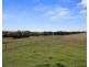 Archies Creek VIC 3995