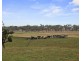 11 Boyd Street, Wonthaggi VIC 3995