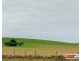 Dalyston VIC 3992