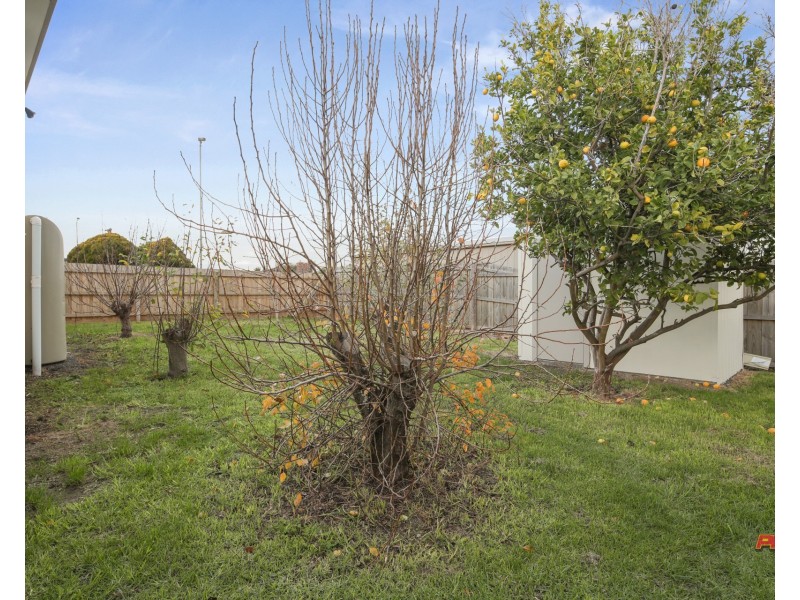 Wonthaggi VIC 3995