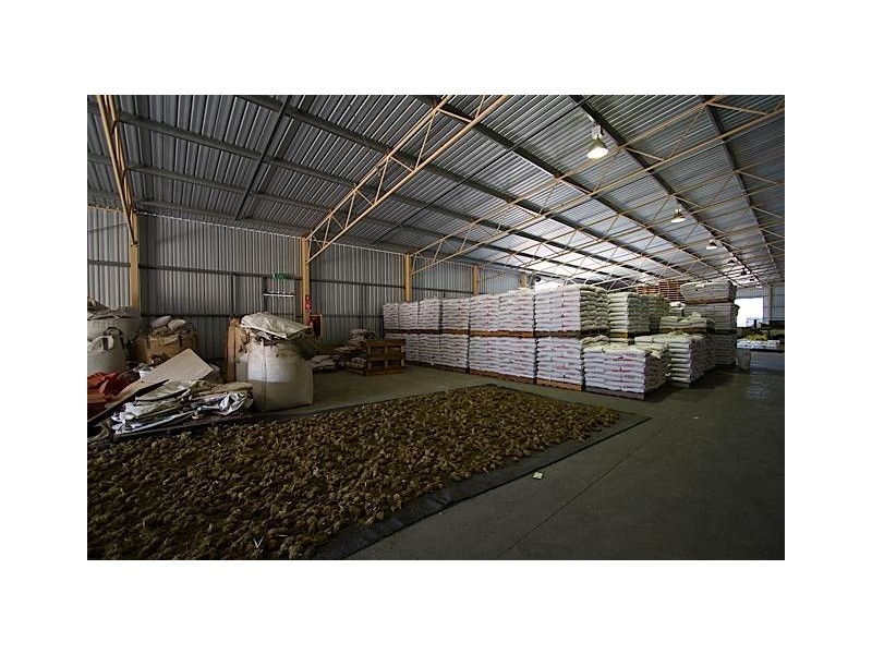 1 Lakerseed Australia, Millicent SA 5280