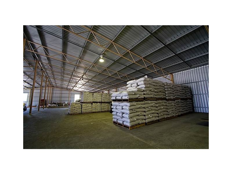 1 Lakerseed Australia, Millicent SA 5280