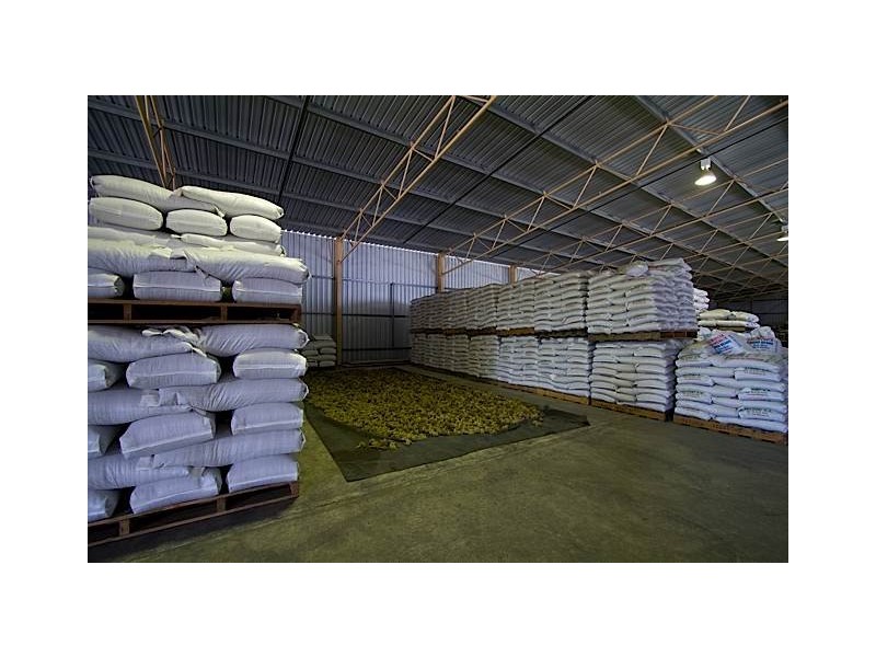 1 Lakerseed Australia, Millicent SA 5280