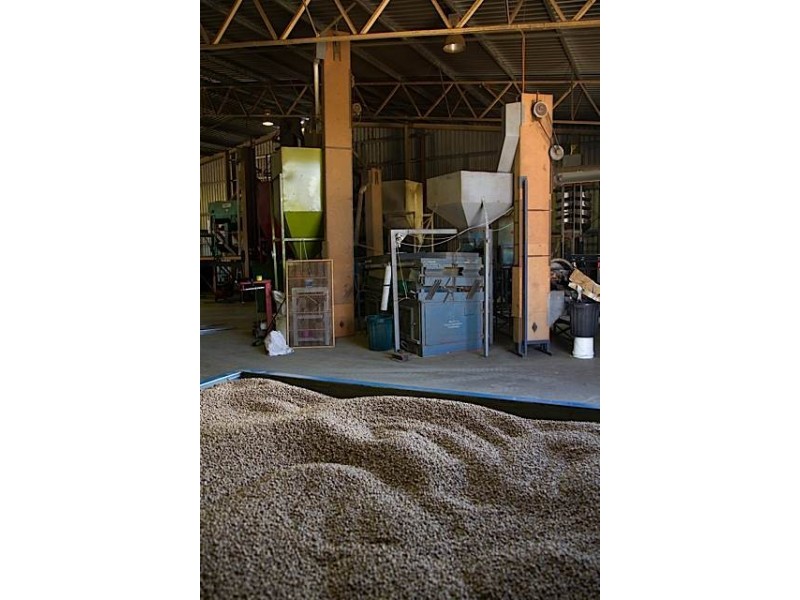 1 Lakerseed Australia, Millicent SA 5280