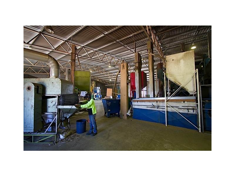 1 Lakerseed Australia, Millicent SA 5280