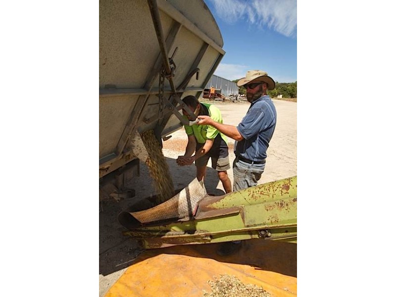 1 Lakerseed Australia, Millicent SA 5280