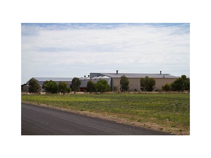 1 Lakerseed Australia, Millicent SA 5280