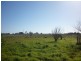 . approx 20kms North of Mount Gambier, Tarpeena SA 5277