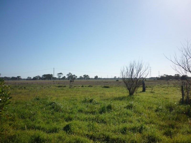 . approx 20kms North of Mount Gambier, Tarpeena SA 5277