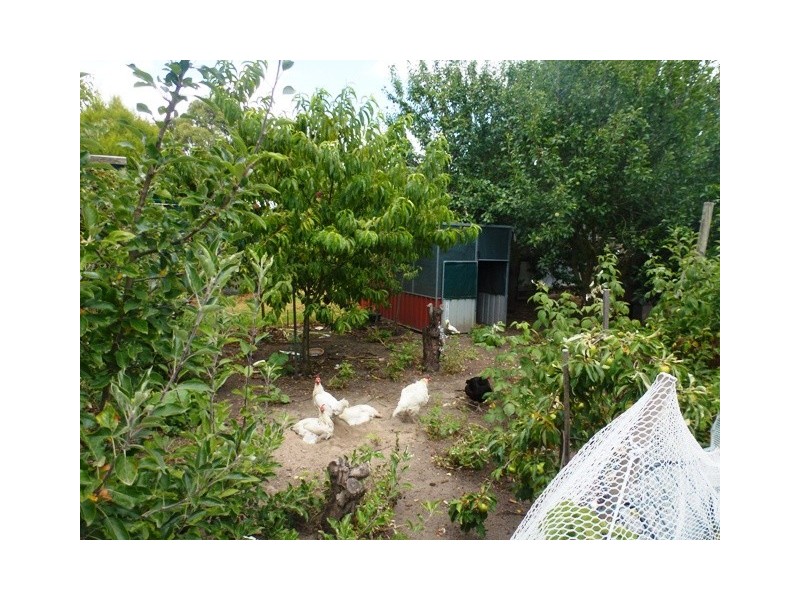 31 Coombe Street, Nangwarry SA 5277