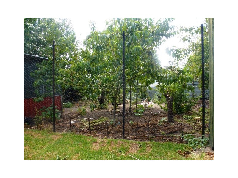 31 Coombe Street, Nangwarry SA 5277