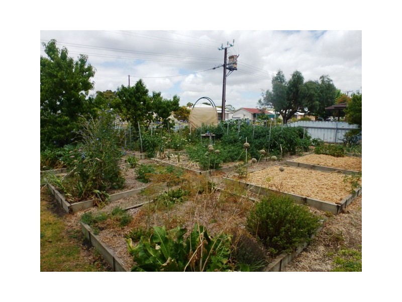 31 Coombe Street, Nangwarry SA 5277