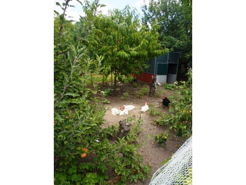 31 Coombe Street, Nangwarry SA 5277