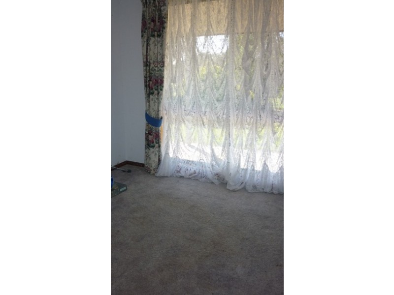 141 Bailey Road, Tarpeena SA 5277